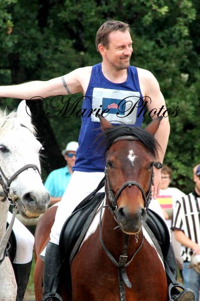 IMG 9647 - IMG_9647.JPG IMG_9647.JPG
