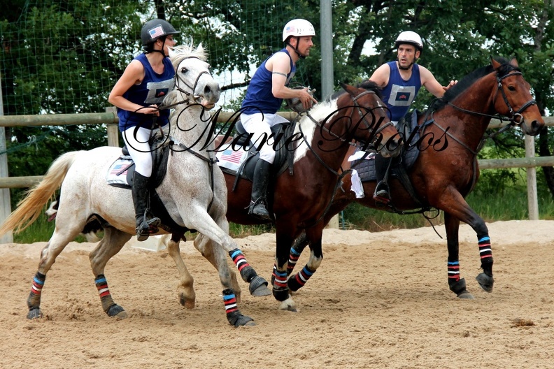 IMG 9720 - IMG_9720.JPG IMG_9720.JPG