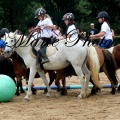 IMG 9791