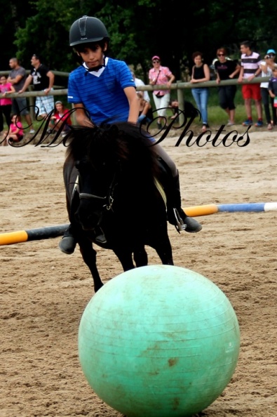 IMG 9868 - IMG_9868.JPG IMG_9868.JPG